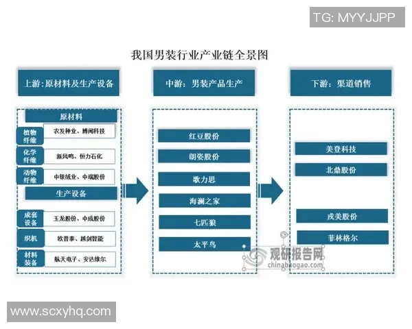 深圳排球队速度分析与战术应用的深度探讨与展望